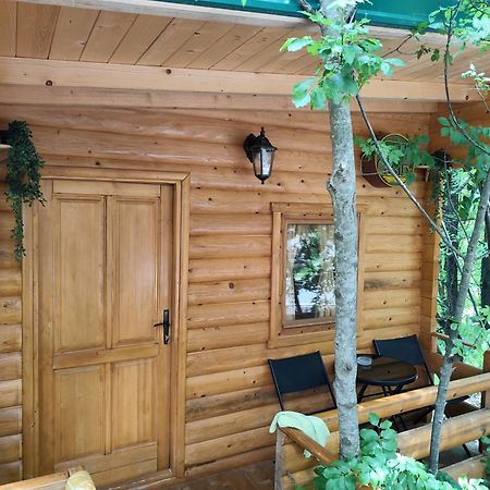 Still Cabin سيتينيي المظهر الخارجي الصورة