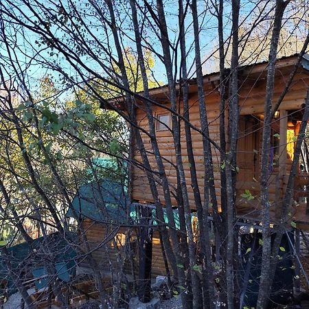 Still Cabin سيتينيي المظهر الخارجي الصورة