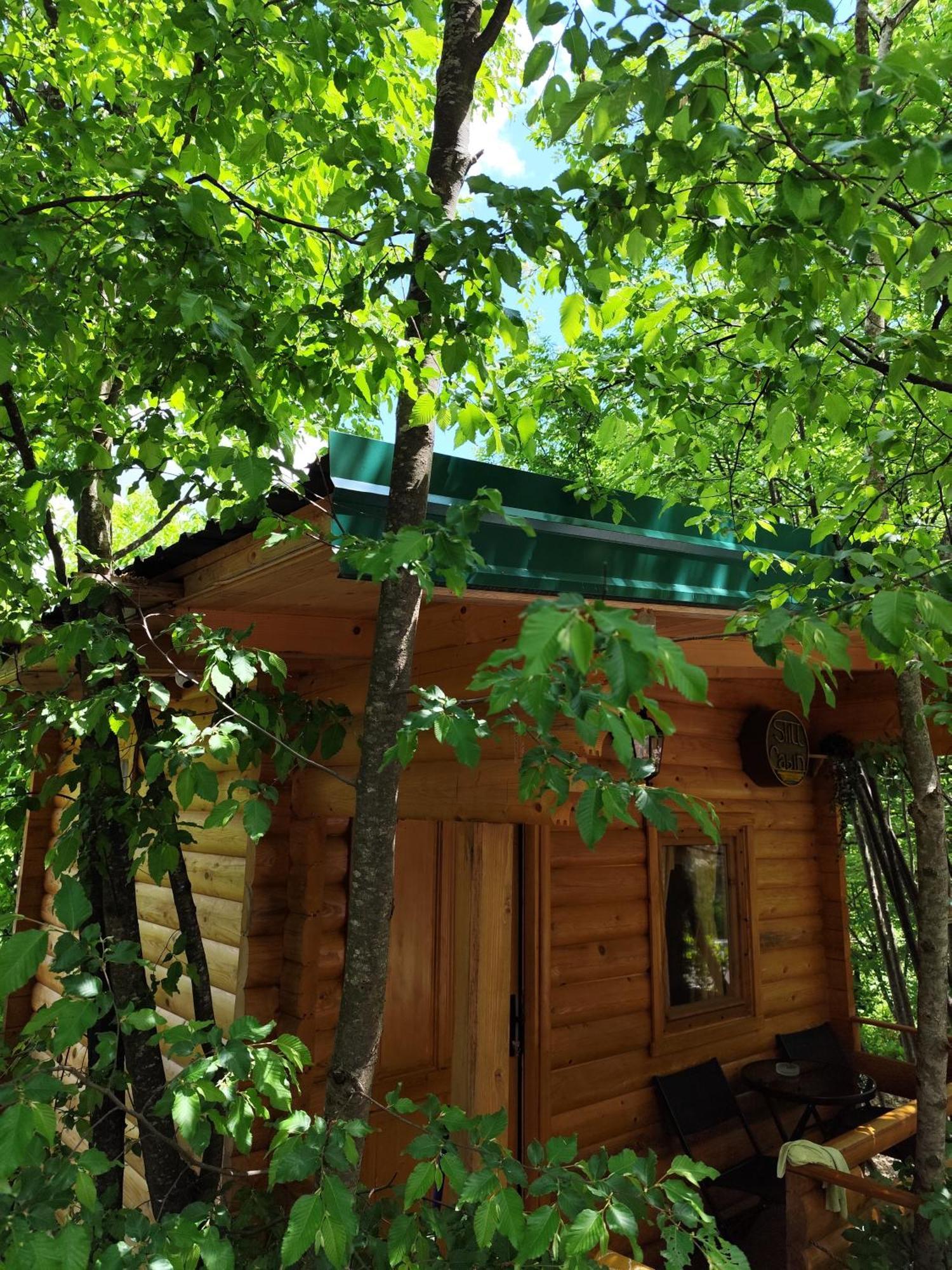 Still Cabin سيتينيي المظهر الخارجي الصورة