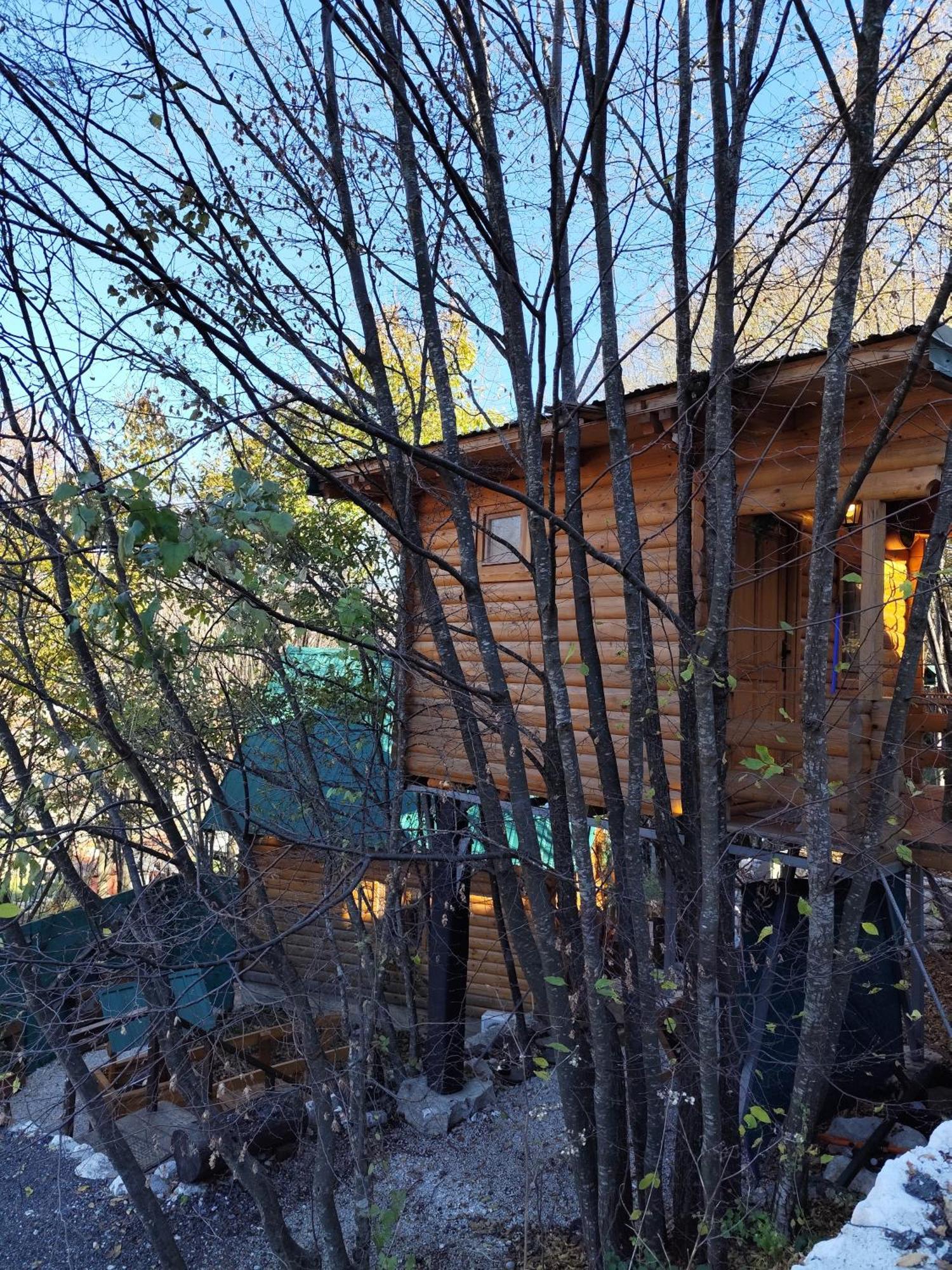 Still Cabin سيتينيي المظهر الخارجي الصورة